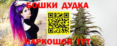 МДПВ Будённовск