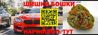МДПВ Будённовск