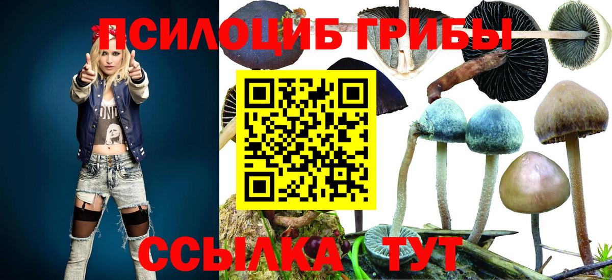 Псилоцибиновые грибы MAGIC MUSHROOMS Людиново